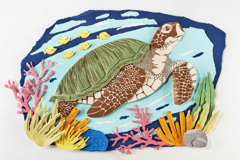 Sea Turtle by Andrea Cira