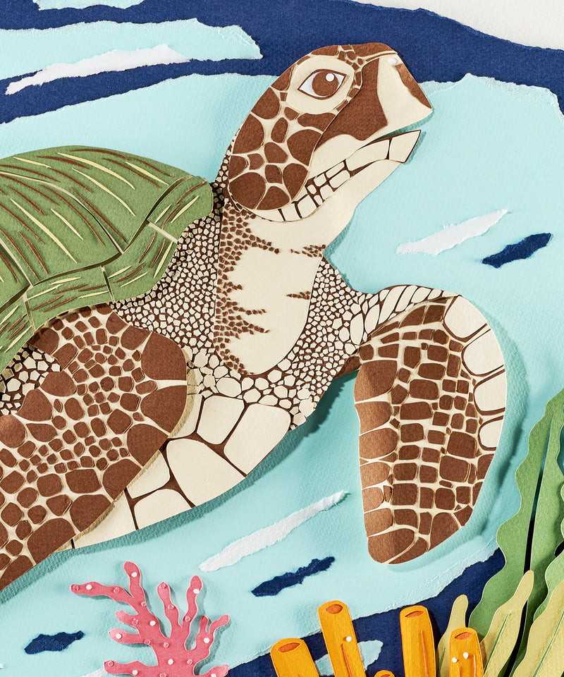 Sea Turtle by Andrea Cira