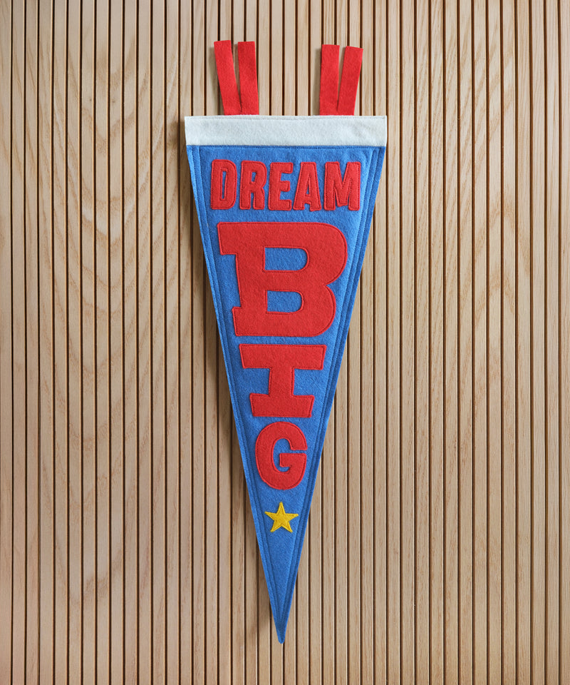 Dream Big Felt Pennant  by LVG Studio