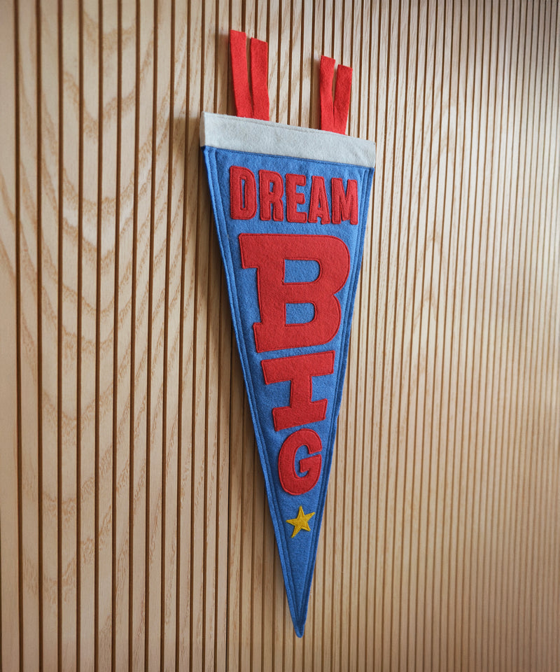 Dream Big Felt Pennant  by LVG Studio