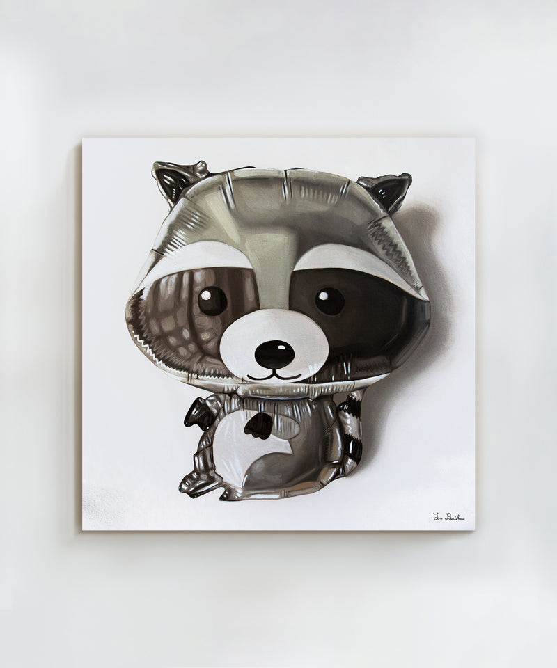Raccoon by Ian Bertolucci